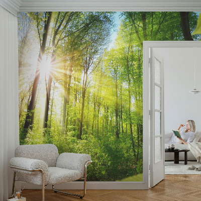 Motivtapete mit Waldlicht-Motiv
