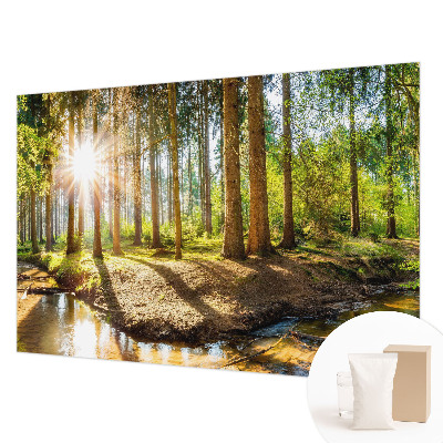 Wand-Fototapete mit Waldidylle-Motiv
