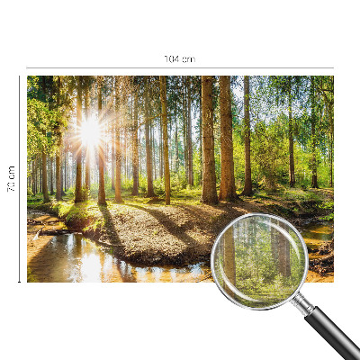 Wand-Fototapete mit Waldidylle-Motiv