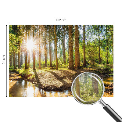 Wand-Fototapete mit Waldidylle-Motiv