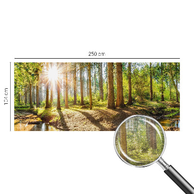 Wand-Fototapete mit Waldidylle-Motiv