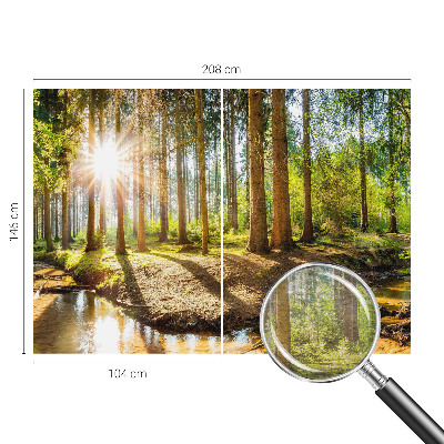 Wand-Fototapete mit Waldidylle-Motiv