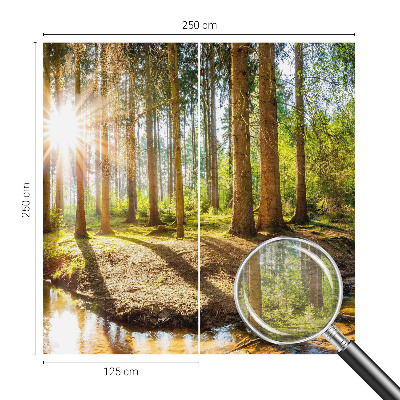 Wand-Fototapete mit Waldidylle-Motiv