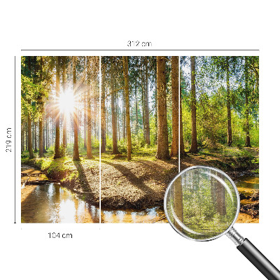 Wand-Fototapete mit Waldidylle-Motiv