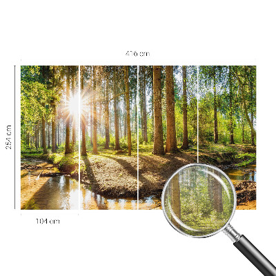 Wand-Fototapete mit Waldidylle-Motiv