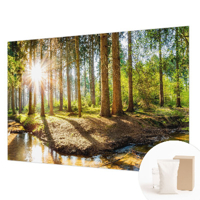Wand-Fototapete mit Waldidylle-Motiv