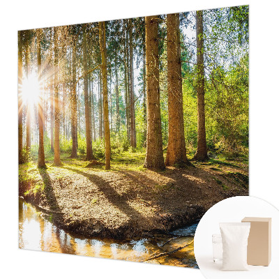 Wand-Fototapete mit Waldidylle-Motiv