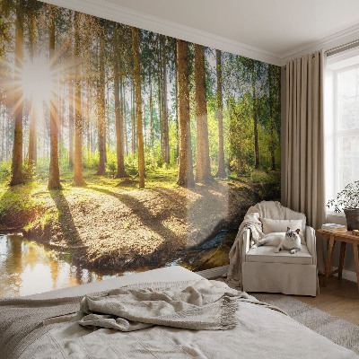 Wand-Fototapete mit Waldidylle-Motiv