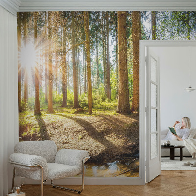 Wand-Fototapete mit Waldidylle-Motiv