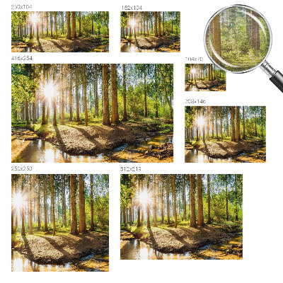 Wand-Fototapete mit Waldidylle-Motiv