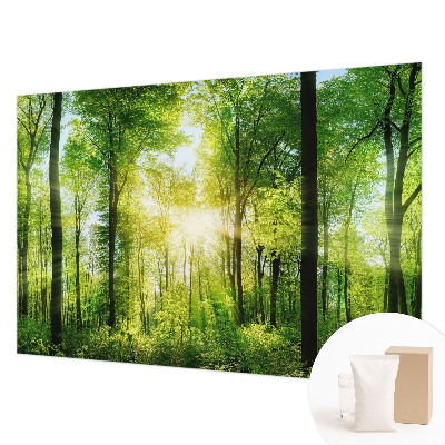 Fototapete Harmonie des Waldes