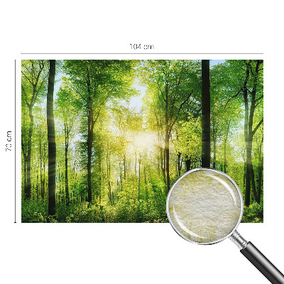 Fototapete mit dem Motiv „Harmonie des Waldes“