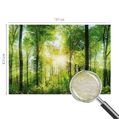Fototapete mit dem Motiv „Harmonie des Waldes“