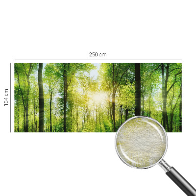 Fototapete mit dem Motiv „Harmonie des Waldes“