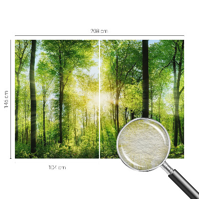 Fototapete mit dem Motiv „Harmonie des Waldes“