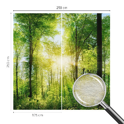 Fototapete mit dem Motiv „Harmonie des Waldes“