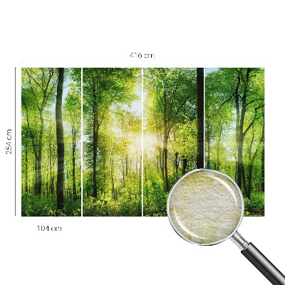 Fototapete mit dem Motiv „Harmonie des Waldes“