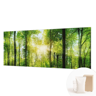 Fototapete Harmonie des Waldes