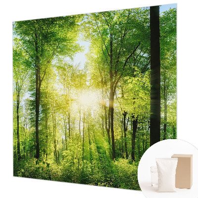 Fototapete Harmonie des Waldes