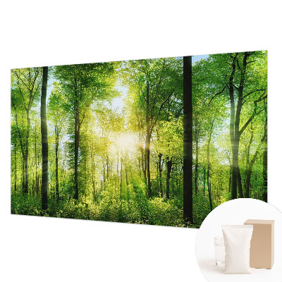 Fototapete Harmonie des Waldes