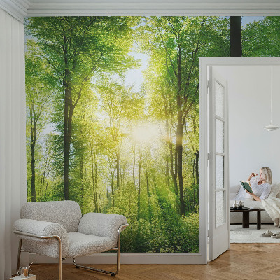 Fototapete mit dem Motiv „Harmonie des Waldes“