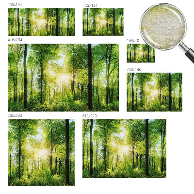 Fototapete mit dem Motiv „Harmonie des Waldes“