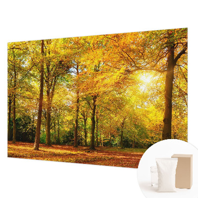 Vlies-Fototapete mit Motiv goldener Blätter