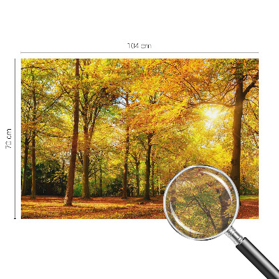Vlies-Fototapete mit Motiv goldener Blätter