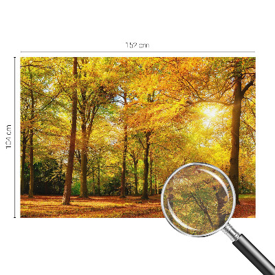 Vlies-Fototapete mit Motiv goldener Blätter