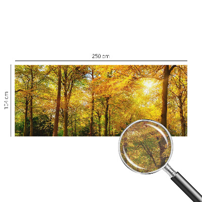 Vlies-Fototapete mit Motiv goldener Blätter