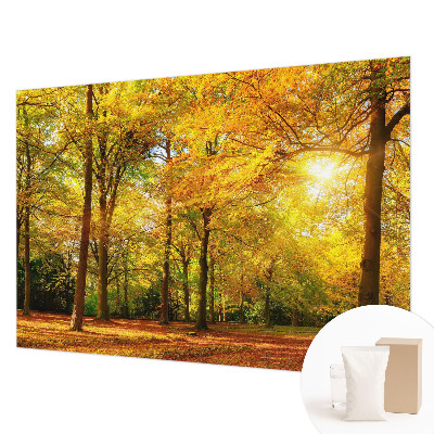 Vlies-Fototapete mit Motiv goldener Blätter