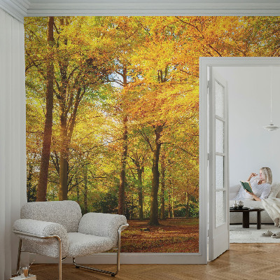 Vlies-Fototapete mit Motiv goldener Blätter