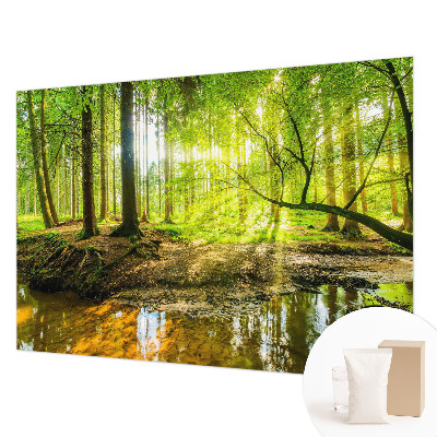 Fototapete fürs Schlafzimmer mit einer grünen Landschaft