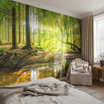 Fototapete fürs Schlafzimmer mit einer grünen Landschaft