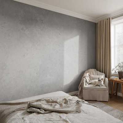 Vlies-Fototapete fürs Wohnzimmer in elegantem Grau