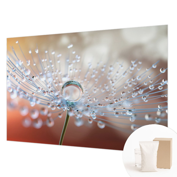 Motivtapete Ein Tropfen auf einem Löwenzahn