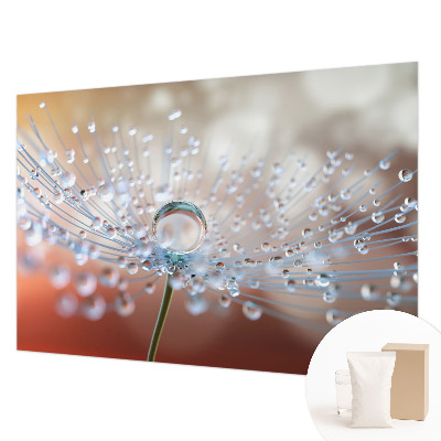 Motivtapete Ein Tropfen auf einem Löwenzahn