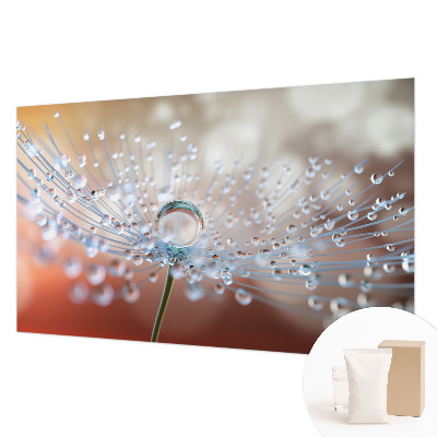 Motivtapete Ein Tropfen auf einem Löwenzahn