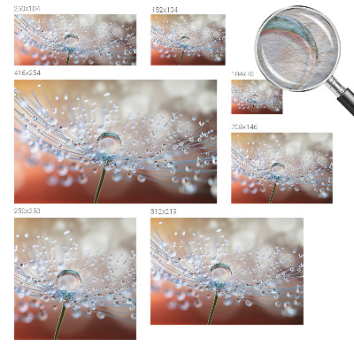 Motivtapete Ein Tropfen auf einem Löwenzahn