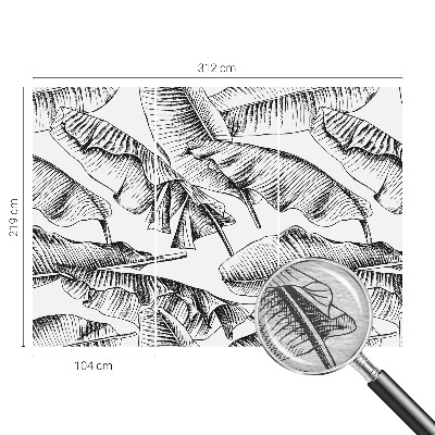 Fototapete fürs Schlafzimmer Bananenblätter