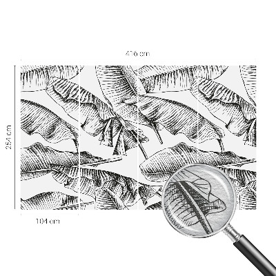 Fototapete fürs Schlafzimmer Bananenblätter