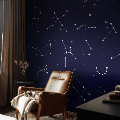 Vlies-Fototapete fürs Kinderzimmer mit Astro-Himmel