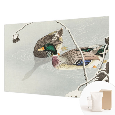 Vlies-Fototapete fürs Wohnzimmer Ruhige Enten