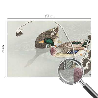 Vlies-Fototapete fürs Wohnzimmer mit ruhigem Entenmotiv