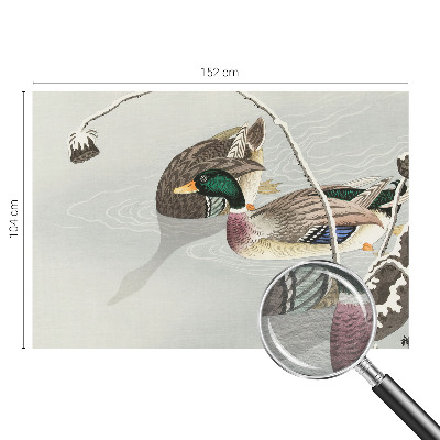 Vlies-Fototapete fürs Wohnzimmer mit ruhigem Entenmotiv