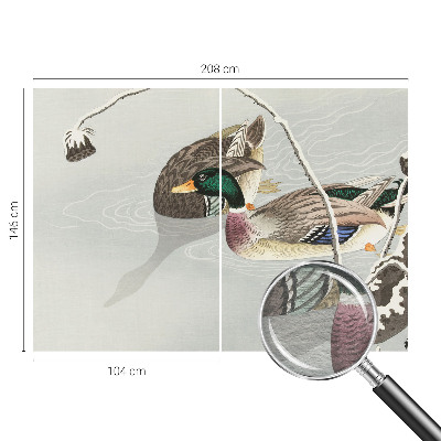Vlies-Fototapete fürs Wohnzimmer mit ruhigem Entenmotiv