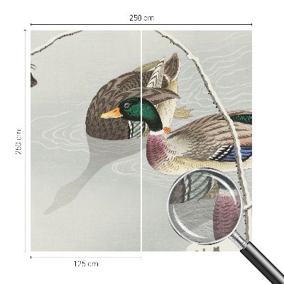 Vlies-Fototapete fürs Wohnzimmer mit ruhigem Entenmotiv