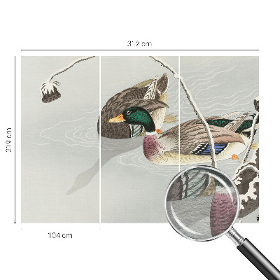 Vlies-Fototapete fürs Wohnzimmer mit ruhigem Entenmotiv