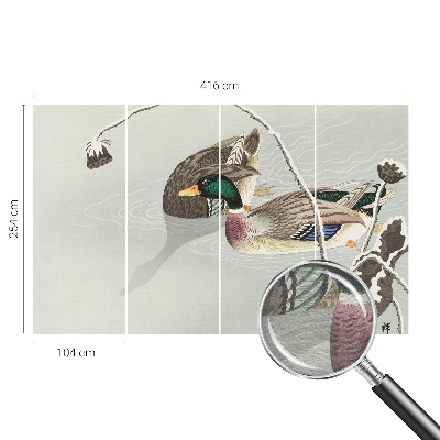 Vlies-Fototapete fürs Wohnzimmer mit ruhigem Entenmotiv