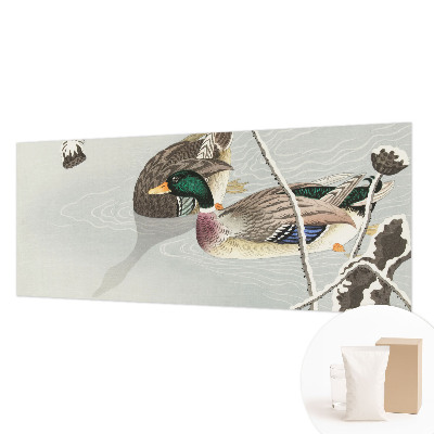 Vlies-Fototapete fürs Wohnzimmer Ruhige Enten